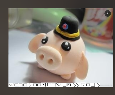 image-20250103153808674