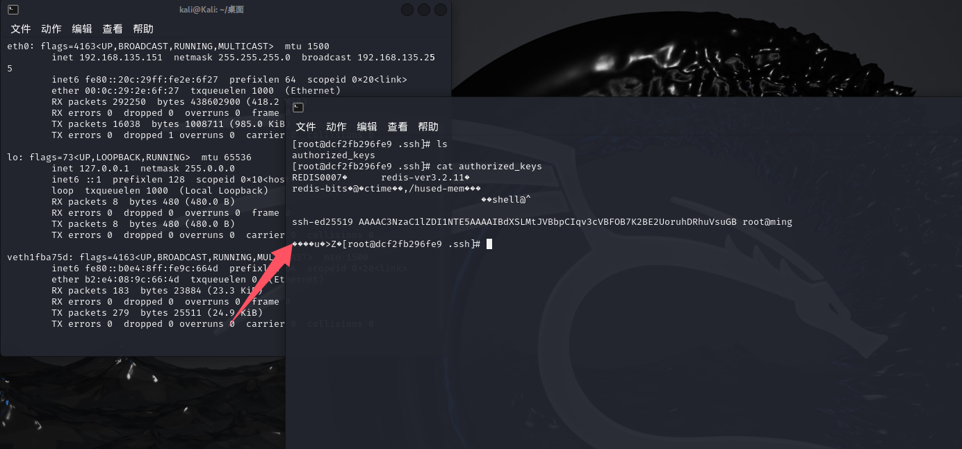 image-20250522215905114