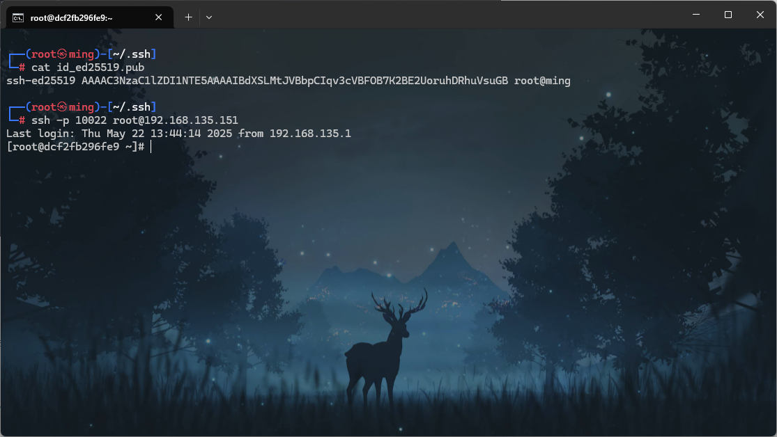 image-20250522215919869