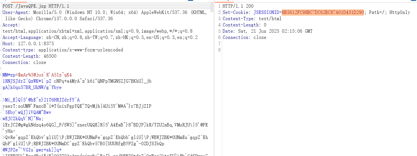 image-20250621101528687